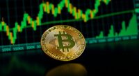 bitcoin rally potential rises