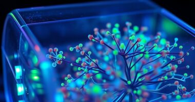 living cell based computation