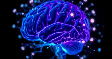 notification anxiety brain rewiring