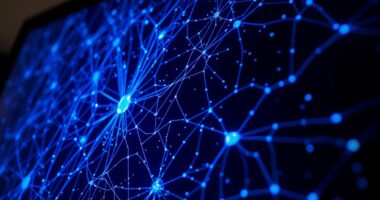 unseen data reveals insights