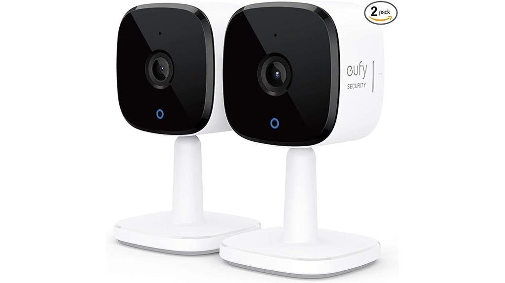 dual indoor security cameras