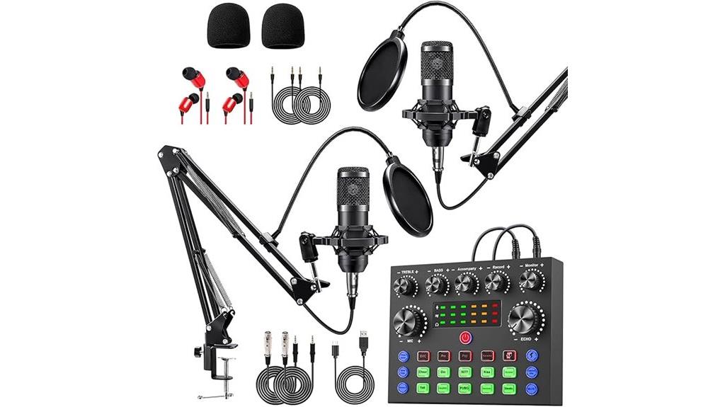 dual voice changer microphone