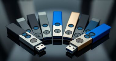 top biometric flash drive options