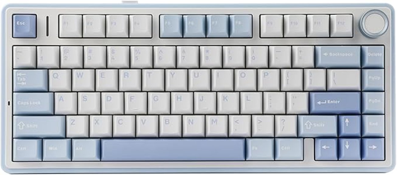 wireless gasket hot swappable keyboard