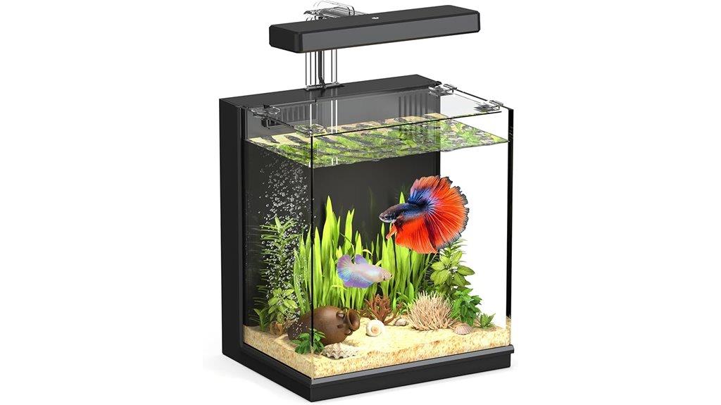 2 gallon betta aquarium
