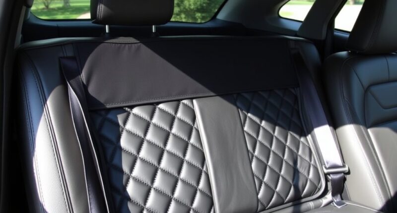 car seat protector reviews