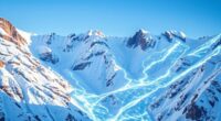custom avalanche blockchain subnets