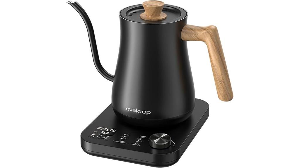 electric kettle with temperature control
