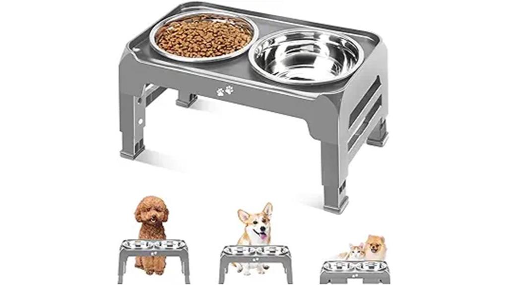 elevated dog bowls