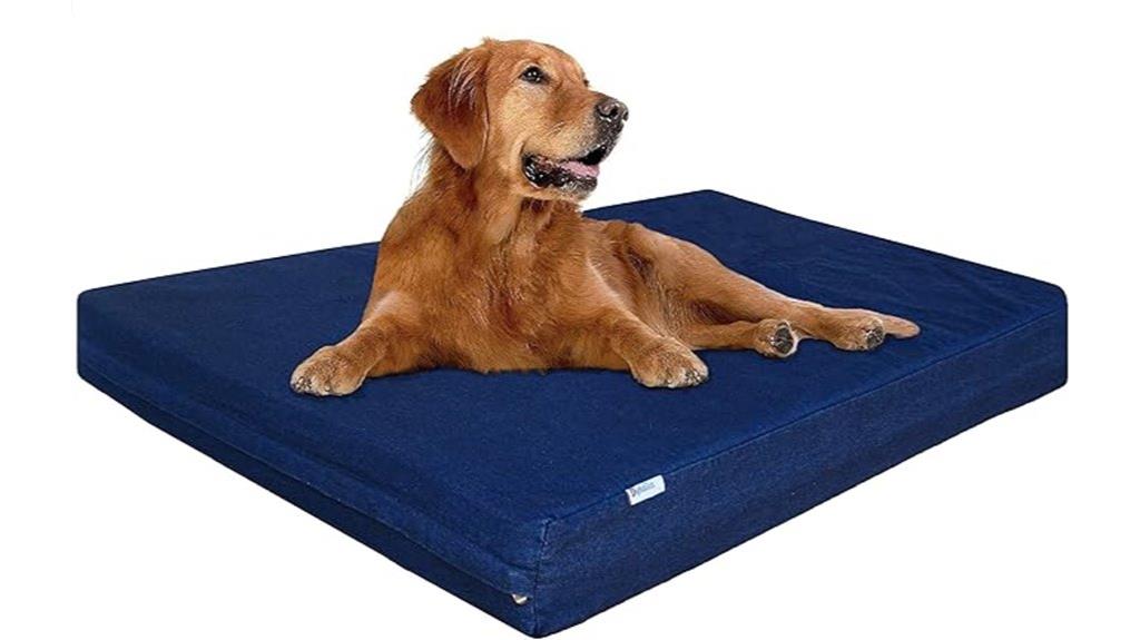 extra large memory foam bed