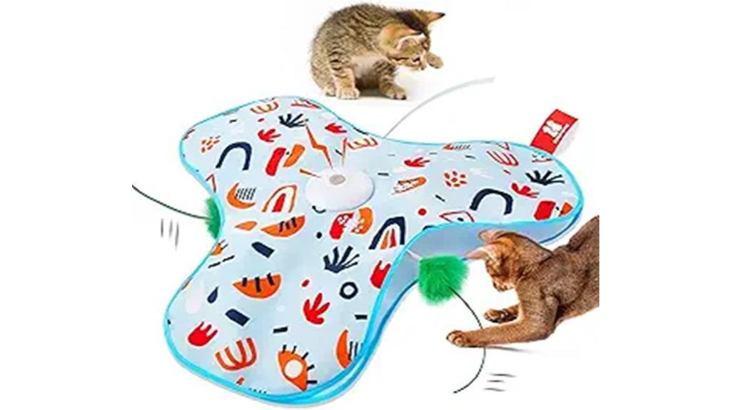 interactive cat toy