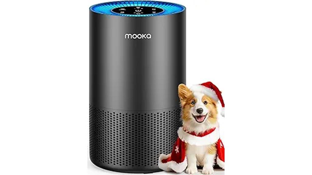 large room true hepa