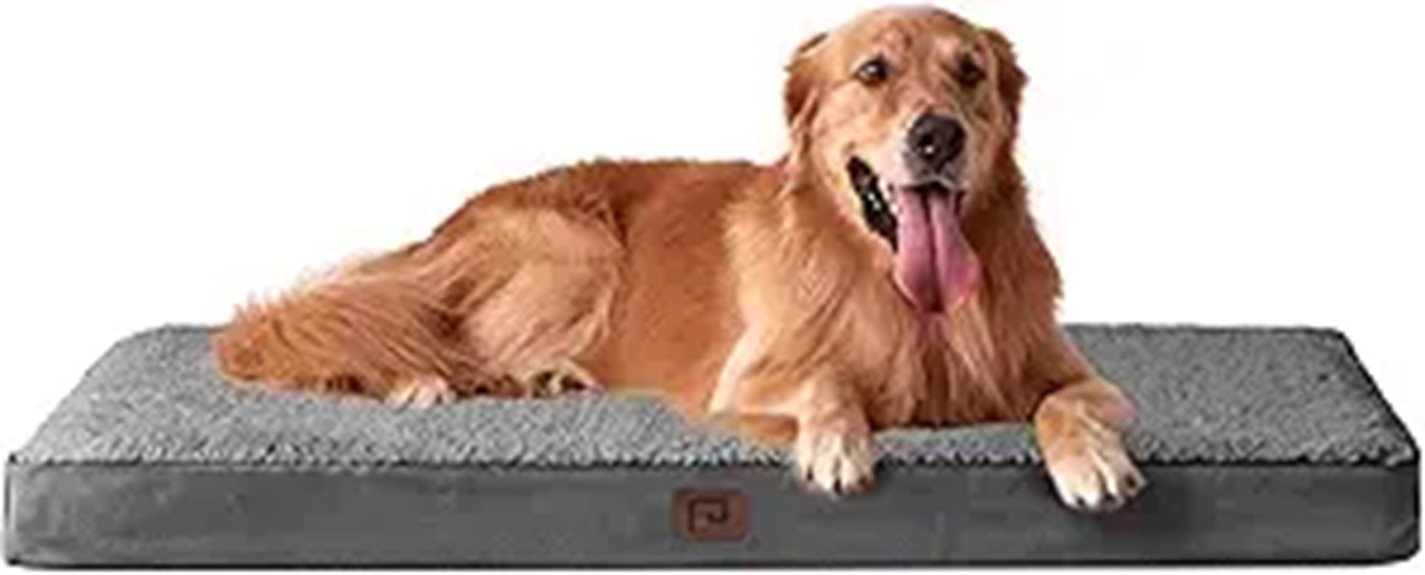 large washable dog bed