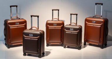 luxury travel luggage sets