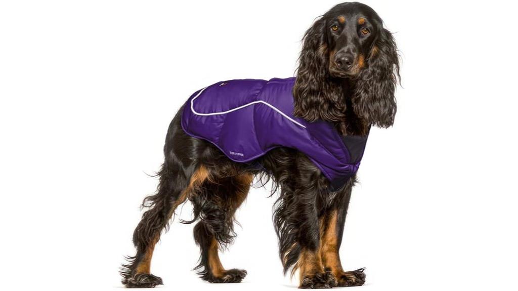 purple insulated winter coat