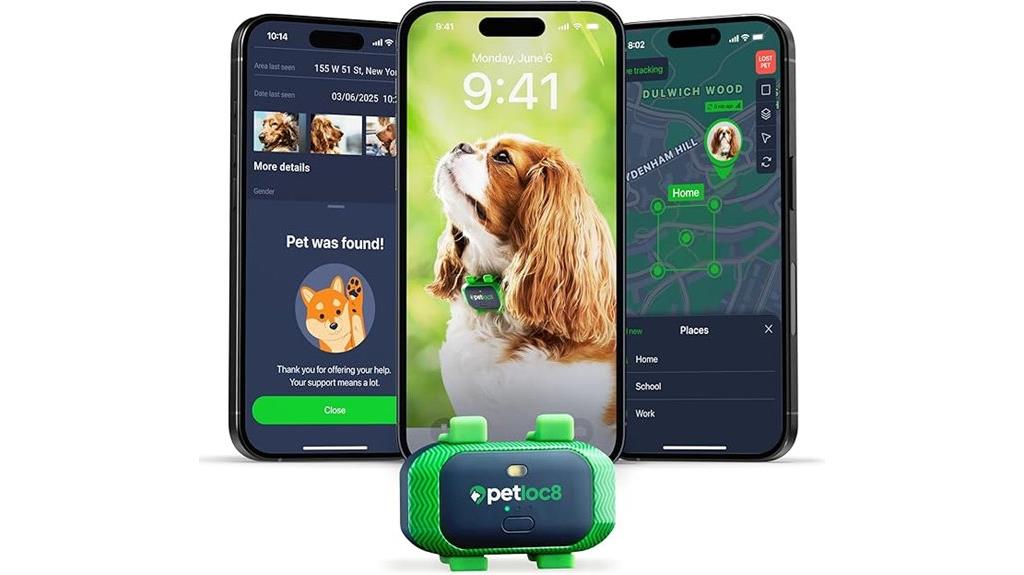 real time dog tracking device