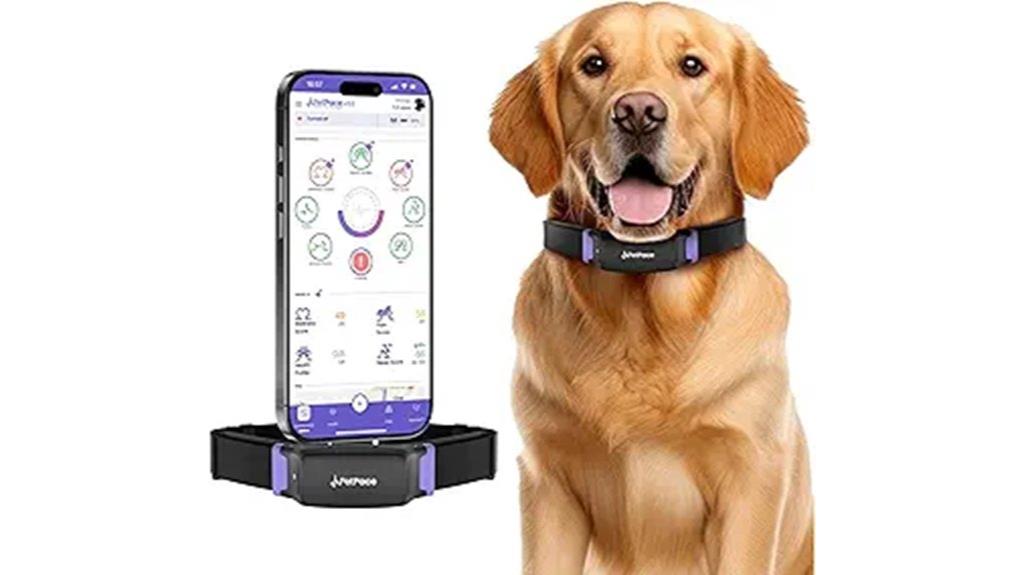 smart dog collar with gps