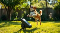top automatic dog toy launchers