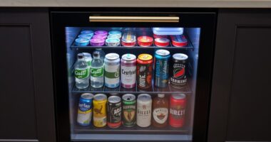 top compact drink refrigerators