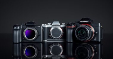 top mirrorless cameras 2025