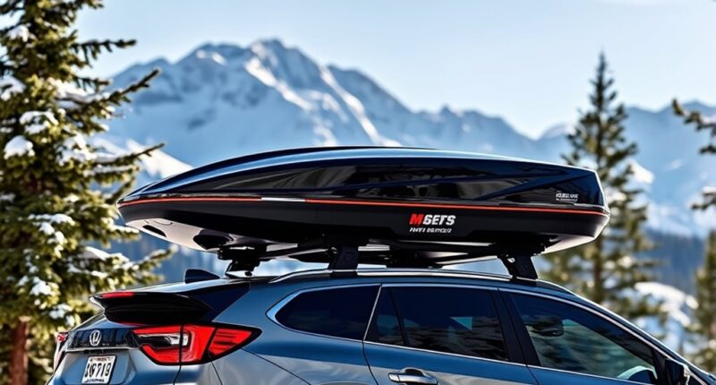 top ski roof cargo boxes