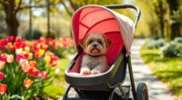 top small dog stroll accessories