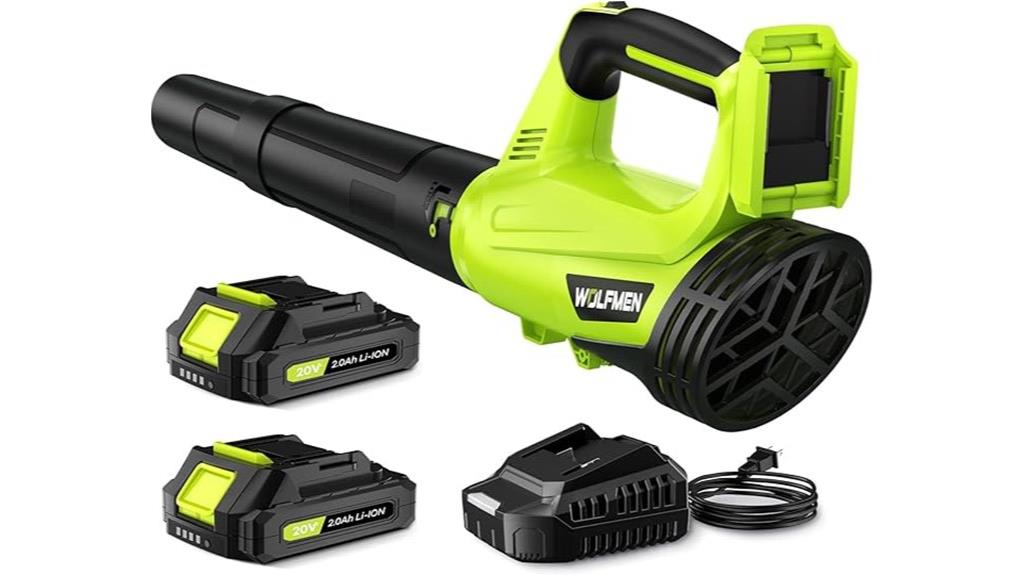cordless leaf blower pack
