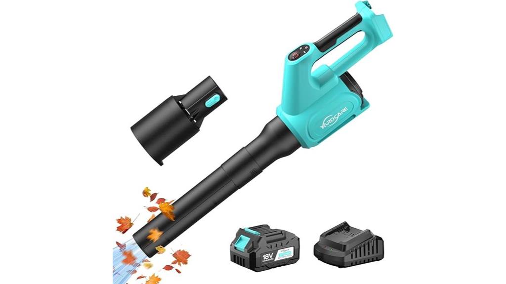 cordless leaf blower set