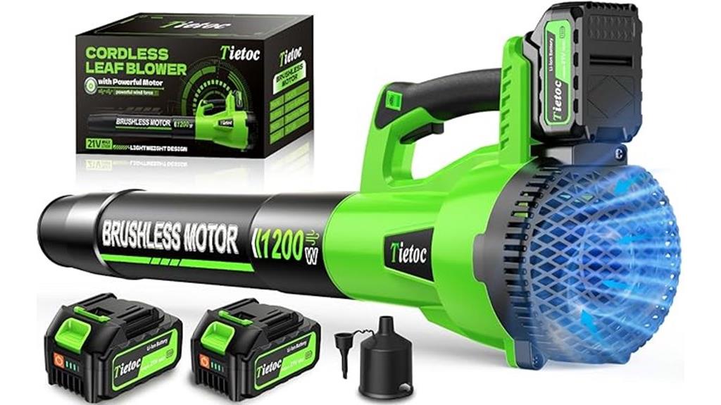 cordless leaf blower set