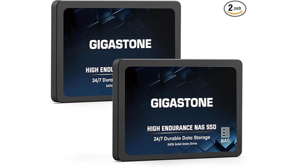 dual 1tb nas ssds