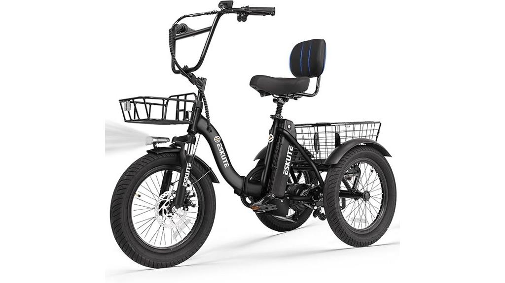 electric trike with 1200w