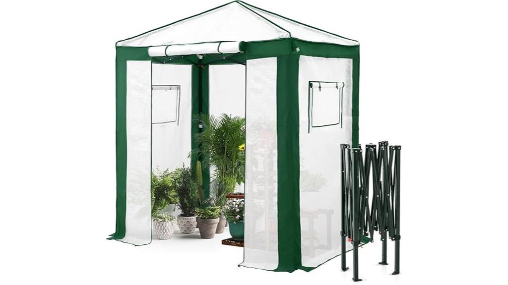 portable 6x4 greenhouse