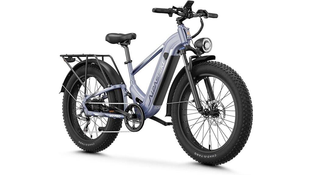 powerful long range electric bike