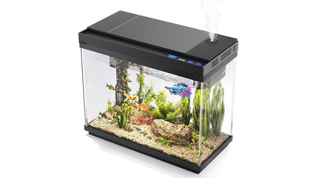 small aquarium with accessories