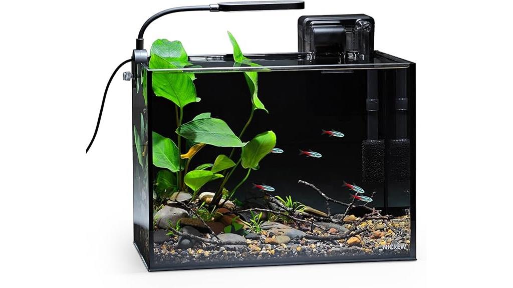 small aquarium with accessories