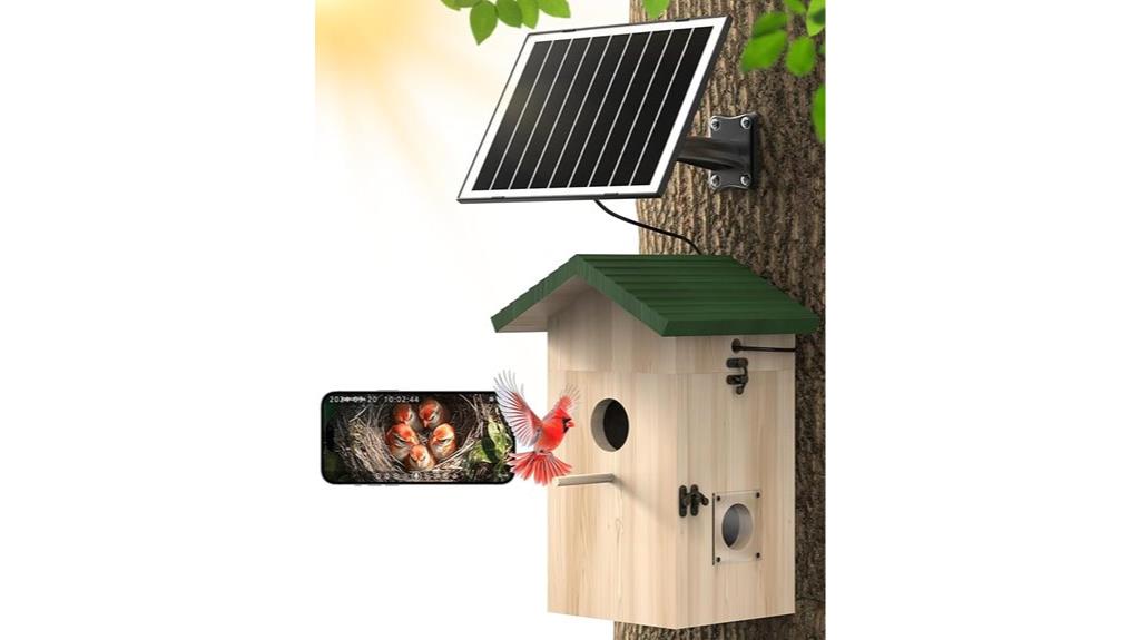 solar powered hd bird camera
