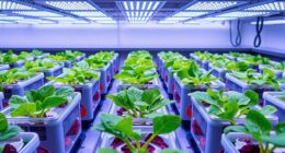 top hydroponic gardening systems