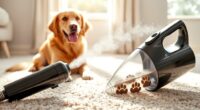 top pet carpet cleaning tools