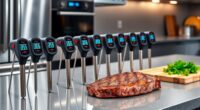 top smart meat thermometers
