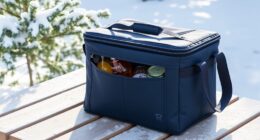 top winter cooler bag picks