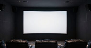 top 15 fixed frame screens