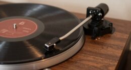 luxurious vinyl playback experience